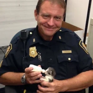 A police officer discovered a little kitten, but when he checked the security footage, his smile faded A police officer discovered a little kitten, but when he checked the security footage, his smile faded