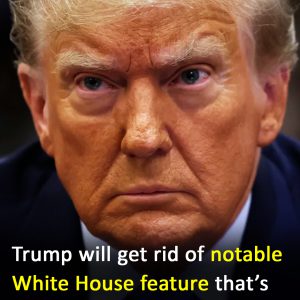 White House Feature from 1800s May Be Removed Under Trump’s Plans White House Feature from 1800s May Be Removed Under Trump’s Plans
