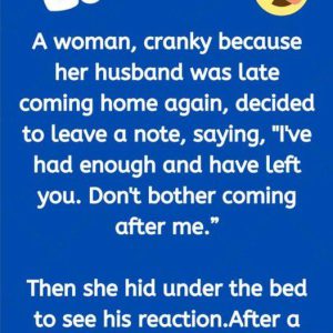 Woman’s Secret Plan to Catch Her Husband Leads to Unexpected Truth Woman’s Secret Plan to Catch Her Husband Leads to Unexpected Truth
