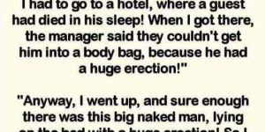 Bob’s Hilarious Misadventure