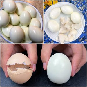 Perfect Boiled Eggs Made Easy Perfect Boiled Eggs Made Easy