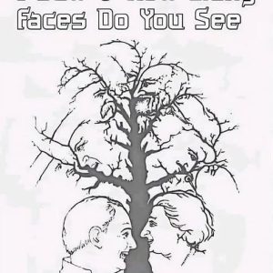 Can You Spot All the Hidden Faces in This Optical Illusion?