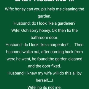 My Husband vs. Chores: A Comedy My Husband vs. Chores: A Comedy