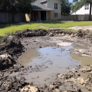 Entitled Neighbor Buried My Pond – I Showed Him Why You Don’t Cross an Older Woman Entitled Neighbor Buried My Pond – I Showed Him Why You Don’t Cross an Older Woman