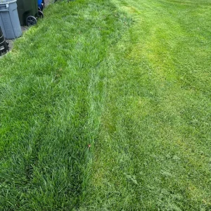 “My Neighbor Turned My Lawn Into Her Driveway—Until I Put a Stop to It” “My Neighbor Turned My Lawn Into Her Driveway—Until I Put a Stop to It”