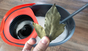 That’s why you need to put a bay leaf in the mop bucket That’s why you need to put a bay leaf in the mop bucket