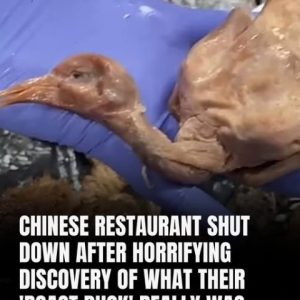 Authorities Close Chinese Restaurant After Disturbing Discovery In ‘Roast Duck’ Authorities Close Chinese Restaurant After Disturbing Discovery In ‘Roast Duck’