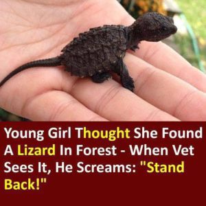 A Young Girl’s Mission to Save an Endangered Species A Young Girl’s Mission to Save an Endangered Species