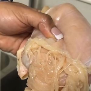 Photo of chicken breast that shreds into spaghetti Photo of chicken breast that shreds into spaghetti