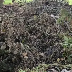 Can you spot the hidden dog? Only those with ‘sniper vision’ can find it Can you spot the hidden dog? Only those with ‘sniper vision’ can find it