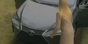 My Neighbor Drove over My Lawn Every Day as a Shortcut to Her Yard
