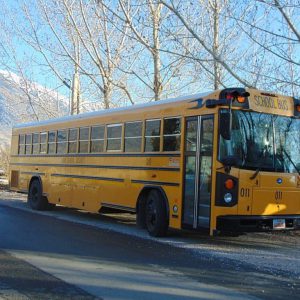 Teenager dies after crashing into school bus; then police find what she was holding. Teenager dies after crashing into school bus; then police find what she was holding.