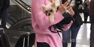 Entitled Dog Owner Made the Airport Hell for Everyone – She Deserved What I Did at the Gate