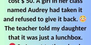 A 6-Year-Old Girl Stole My Daughter’s Lunchbox, and the Teacher Sided With the Thief.