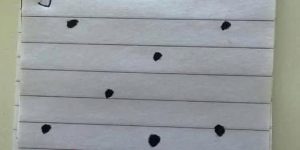 How many dots are there?