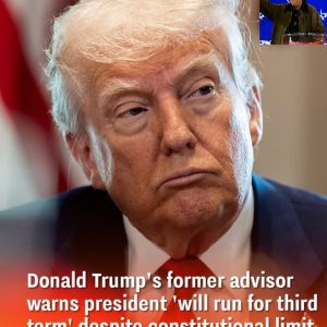 Donald Trump’s former advisor warns president ‘will run for third term’ despite constitutional limit Donald Trump’s former advisor warns president ‘will run for third term’ despite constitutional limit
