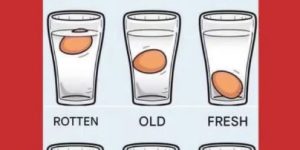 The Best Method to Check Egg Freshness (It Actually Works)