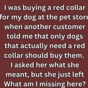 If You See a Dog in a Red Collar, Here’s What to Know