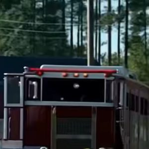 Photo Taken After Fatal Crash Reveals One Stunning Detail