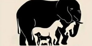 How Many Hidden Animals Can You Find in This Picture?