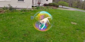 Perfectly Timed Photos That Will Make You Look Twice