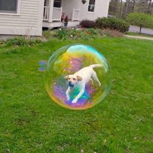 Perfectly Timed Photos That Will Make You Look Twice