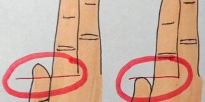 Your Fingers Could Reveal Whether You’re Rich or Poor