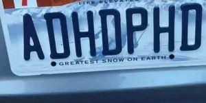 The recent social media buzz centers on a license plate