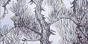 Only 0.1% of people can find all the faces within 30 seconds
