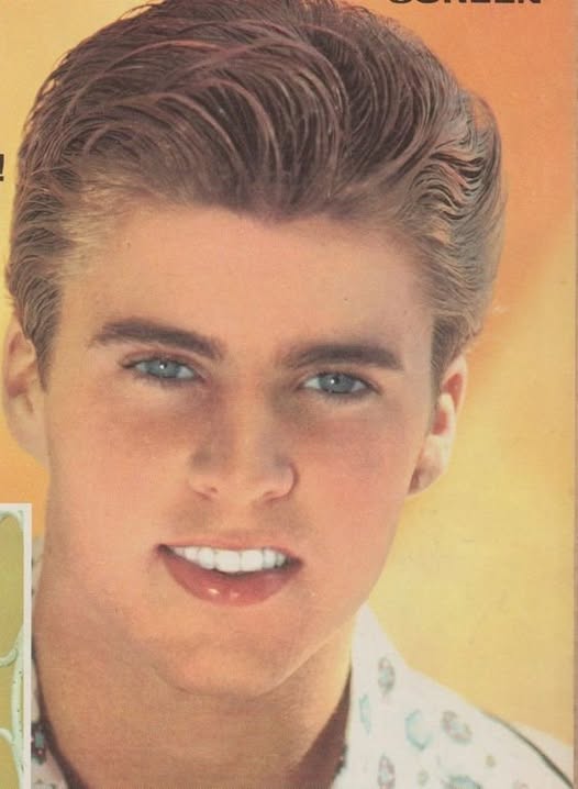 The teen idol of the 50s who saved his twin boys in the mysterious plane