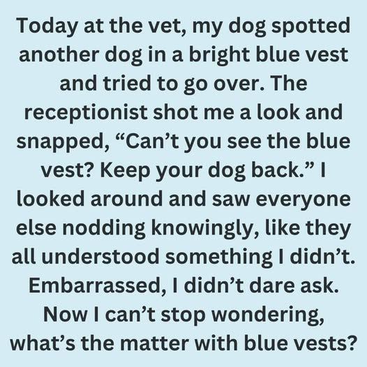 Blue Vest, Leash, or Bandana: What Your Dog Is Telling You