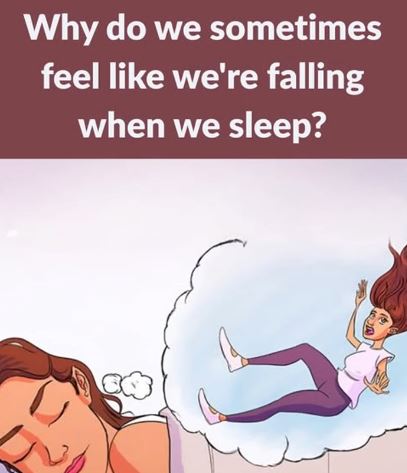 Body Suddenly Jerks While You’re Falling Asleep