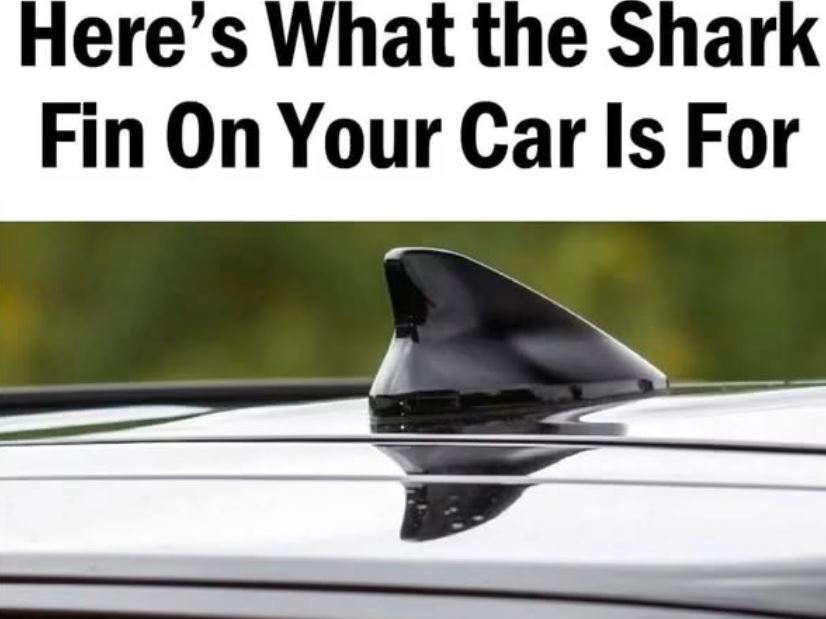 That Little Shark Fin on Your Car? It’s More Important Than You Think