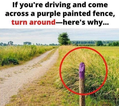 If You See a Painted Purple Fence, This Is What It Means