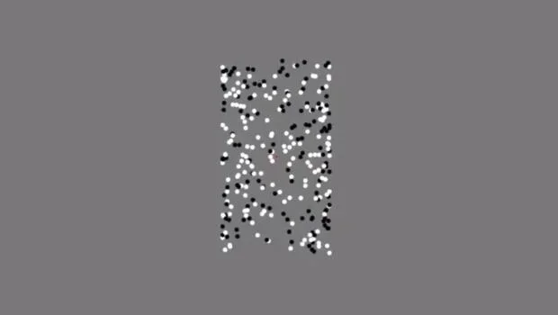 This optical illusion may help identify autistic traits in seconds
