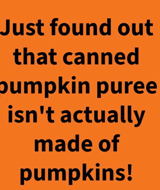 Is Your Pumpkin Purée Actually Pumpkin?