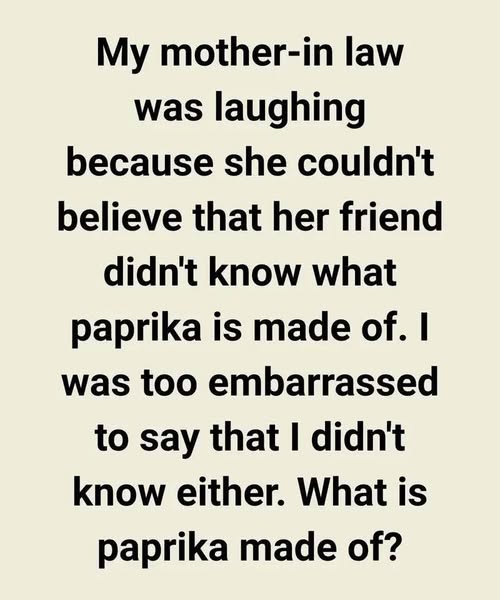 The Secret My Mother-in-Law Revealed with Just One Laugh