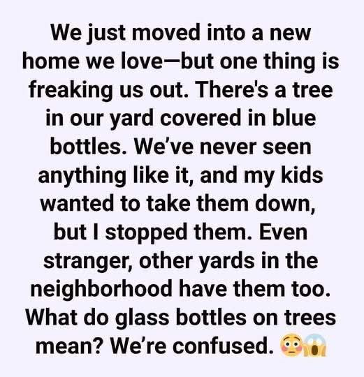 The Secret Behind the Glass Bottle Trees in Our Neighborhood