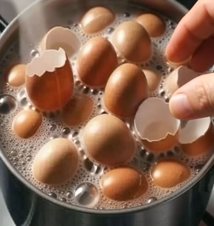 Stop Throwing Away Eggshells: Boil Them and Unlock Their Hidden Benefits