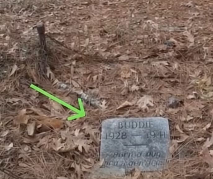 Man Touched by Words on a Grave in the Forest