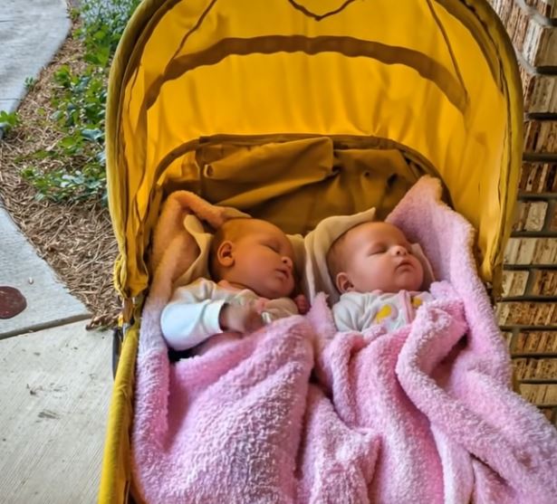 My Teen Daughter Surprised Me by Bringing Home Newborn Twins – Then a Lawyer Called About a $4.7M Inheritance