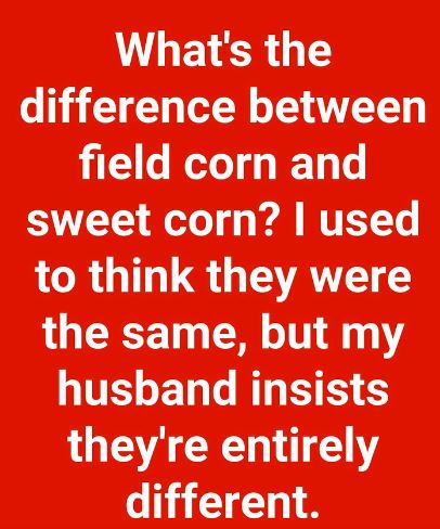 Comparing Field Corn and Sweet Corn
