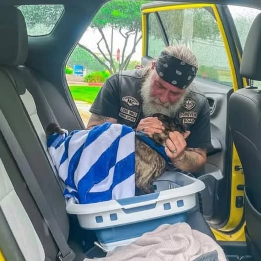 Biker Was Crying Over A Thing In That Blue Towel And I Had To Pull Over To See What Broke This Tough