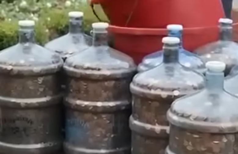 Man Collects Pennies for 45 Years — What He Did Next Will Inspire You