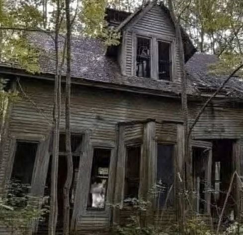 The Forgotten House That Came Back to Life — and the Love Story Hidden Within Its Walls