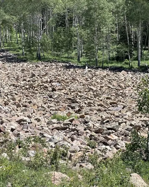 Test Your Vision: Can You Spot the Hidden Woman?