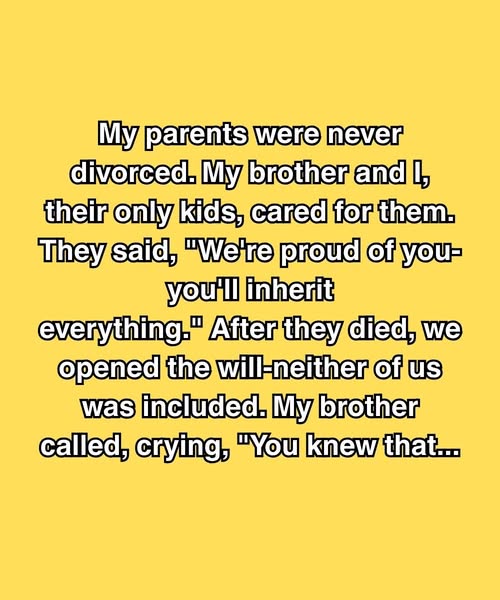 My Brother Said I Knew About The Will—But I Swear I Didn’t