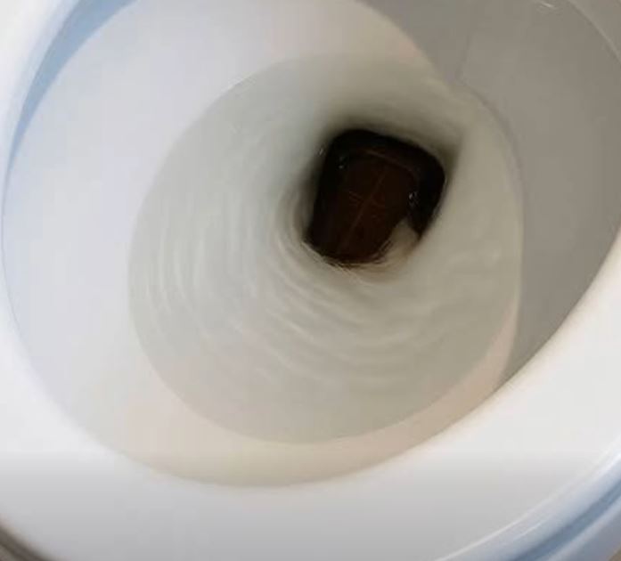 The Calm Morning That Sparked a New Perspective