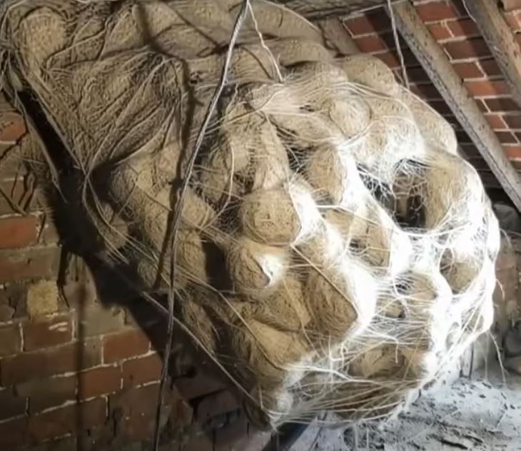He Thought It Was Just an Old Box in the Attic – What He Found Left Him Shaken
