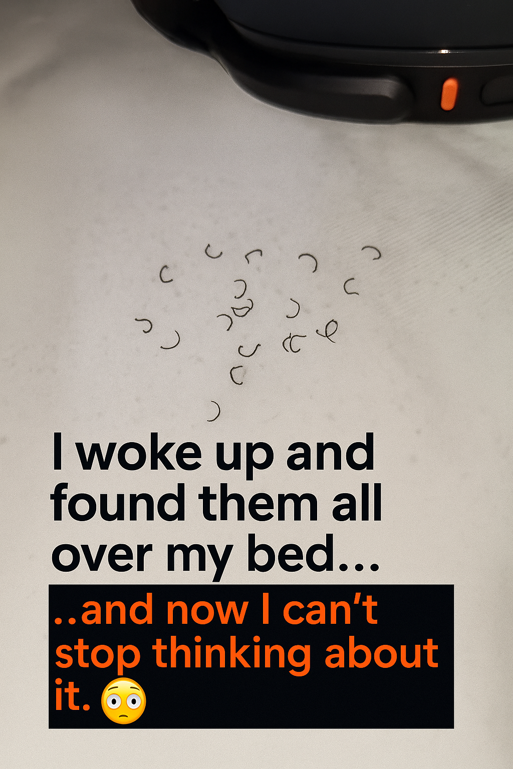 I opened my eyes and they were everywhere on my bed… what even ARE these?!